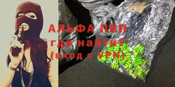 стаф Алзамай