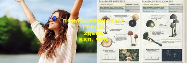 винт Алексеевка