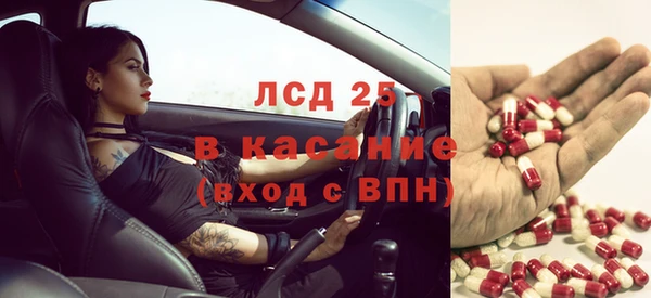 стаф Алзамай