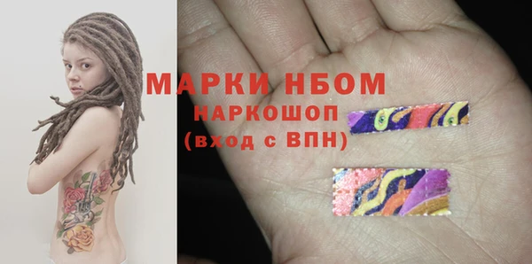 стаф Алзамай