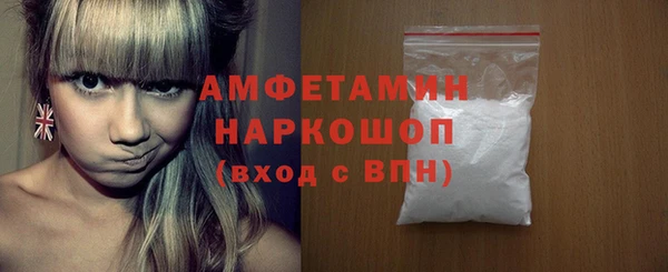 стаф Алзамай