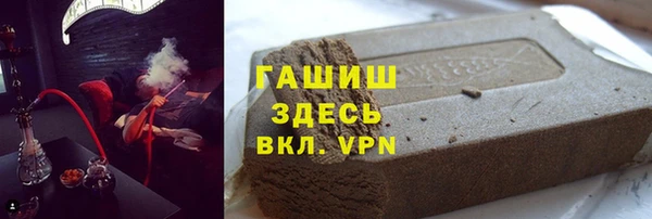 стаф Алзамай