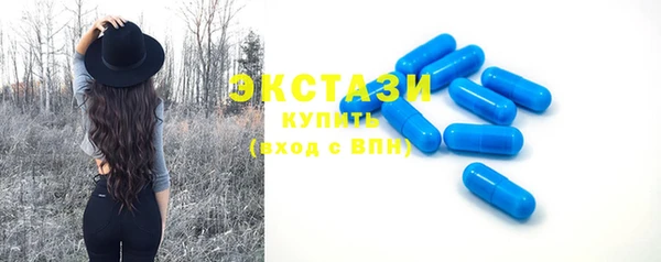 стаф Алзамай