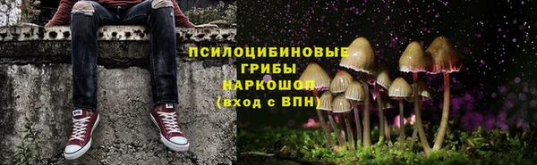 винт Алексеевка