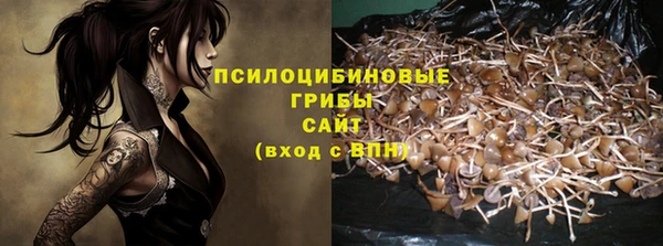 стаф Алзамай