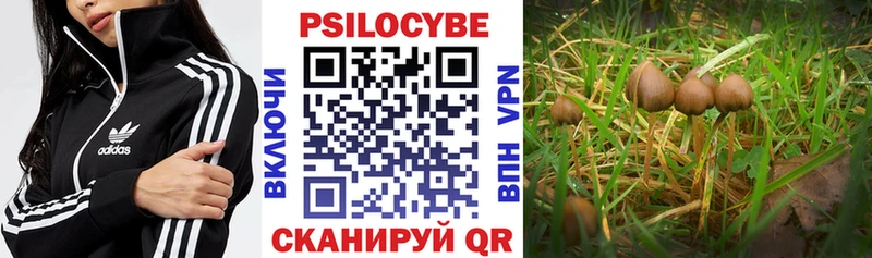 Галлюциногенные грибы MAGIC MUSHROOMS  Дно 