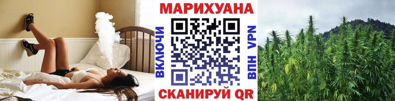 Бошки Шишки план Дно
